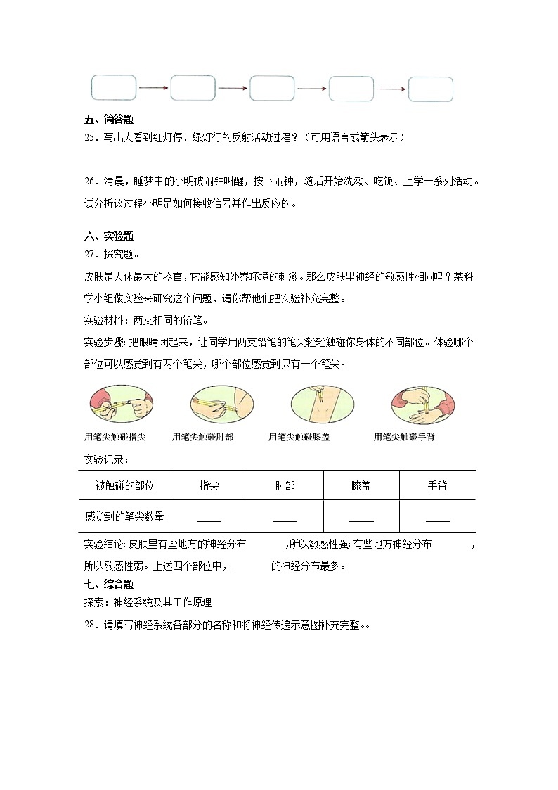 (教科版2017)科学五年级上册4.5身体的“联络员”习题(含答案)03
