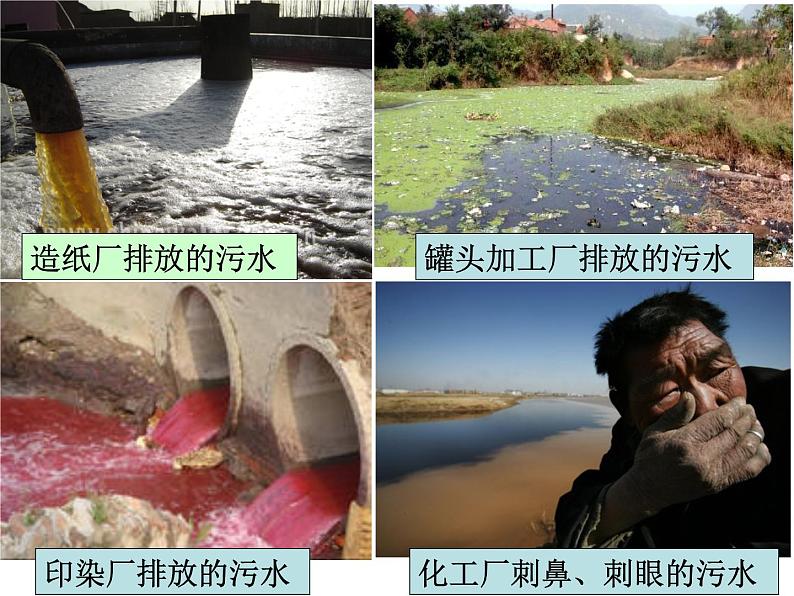 教科版科学六年级下册 4.4 《污水和污水处理》 课件第3页