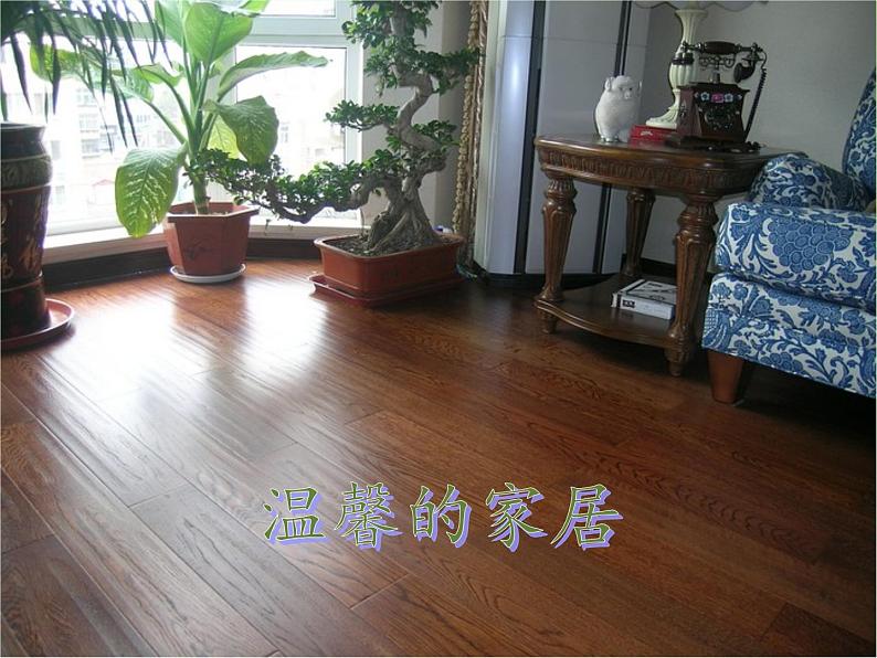 教科版科学六年级下册 4.8 环境问题和我们的行动(31) 课件03