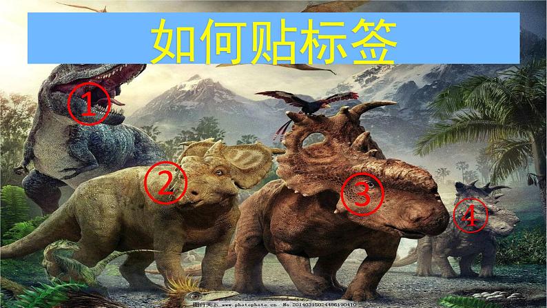 教科版(2017秋)一年级上册 在观察中比较 课件第2页
