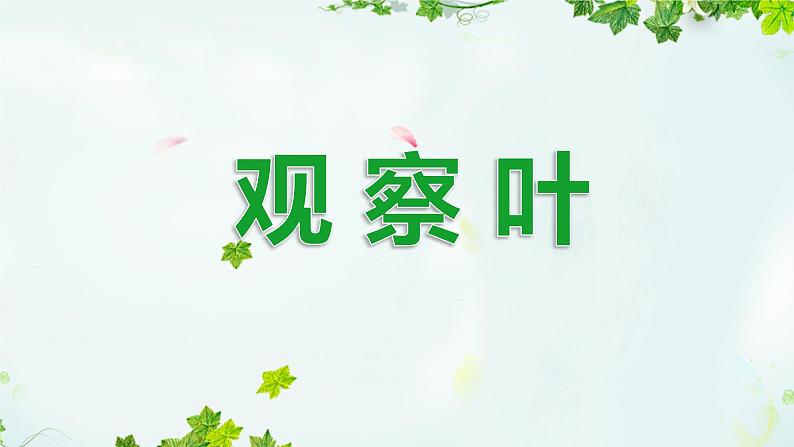 教科版(2017秋)一年级上册 观察叶(1)课件第1页