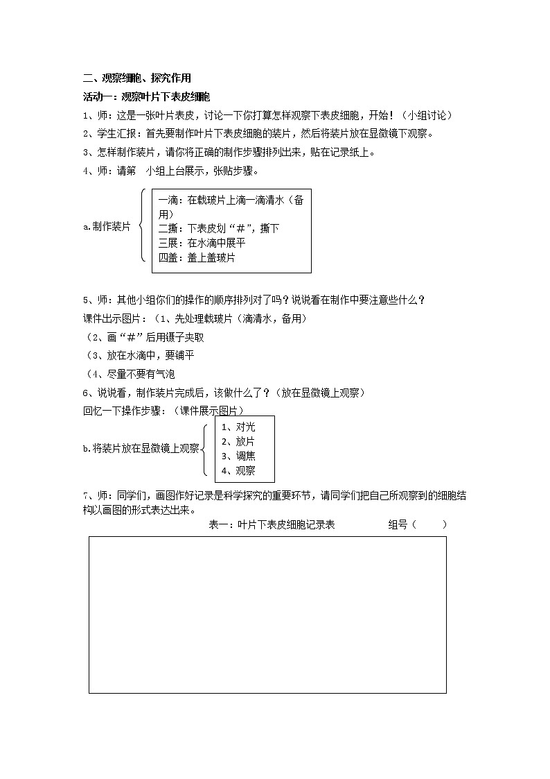 教科版科学六年级下册 1.6 用显微镜观察身边的生命世界(二)(3) 教案第2页
