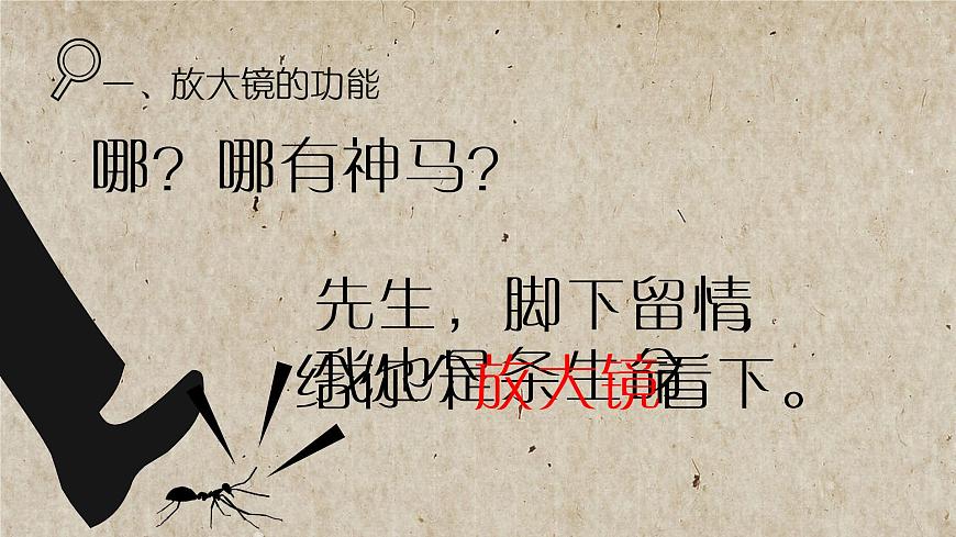 教科版科學(xué)六年級下冊 1.1 放大鏡(課件)第3頁