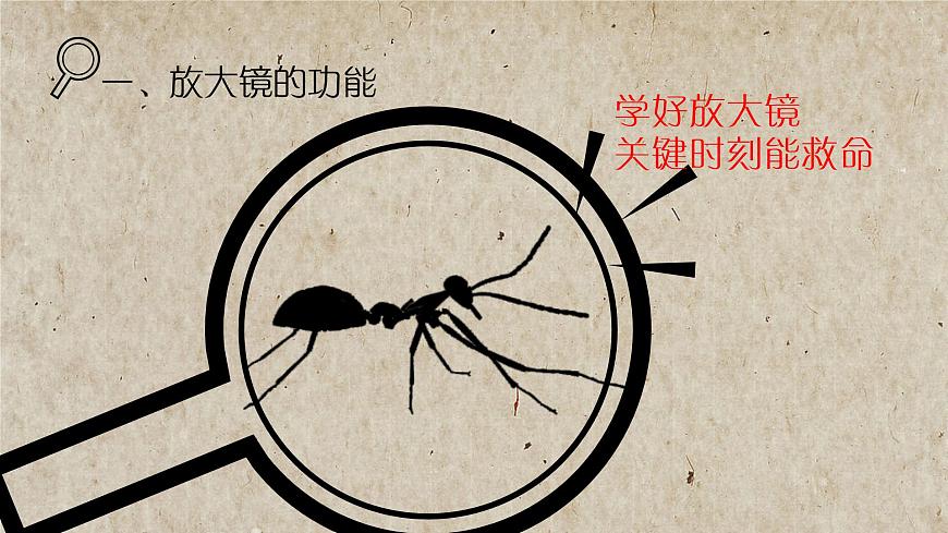 教科版科學(xué)六年級下冊 1.1 放大鏡(課件)第4頁