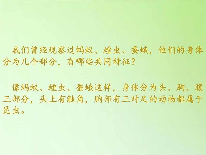 教科版科学六年级下册 1.2 放大镜下的昆虫世界(8)(课件)02