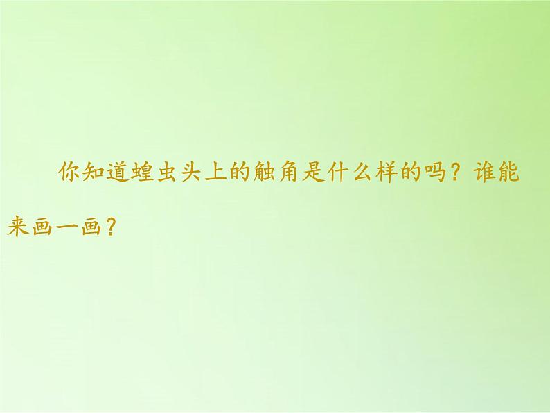 教科版科学六年级下册 1.2 放大镜下的昆虫世界(8)(课件)03