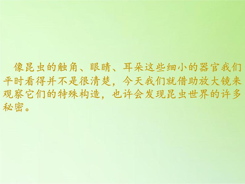 教科版科学六年级下册 1.2 放大镜下的昆虫世界(8)(课件)04