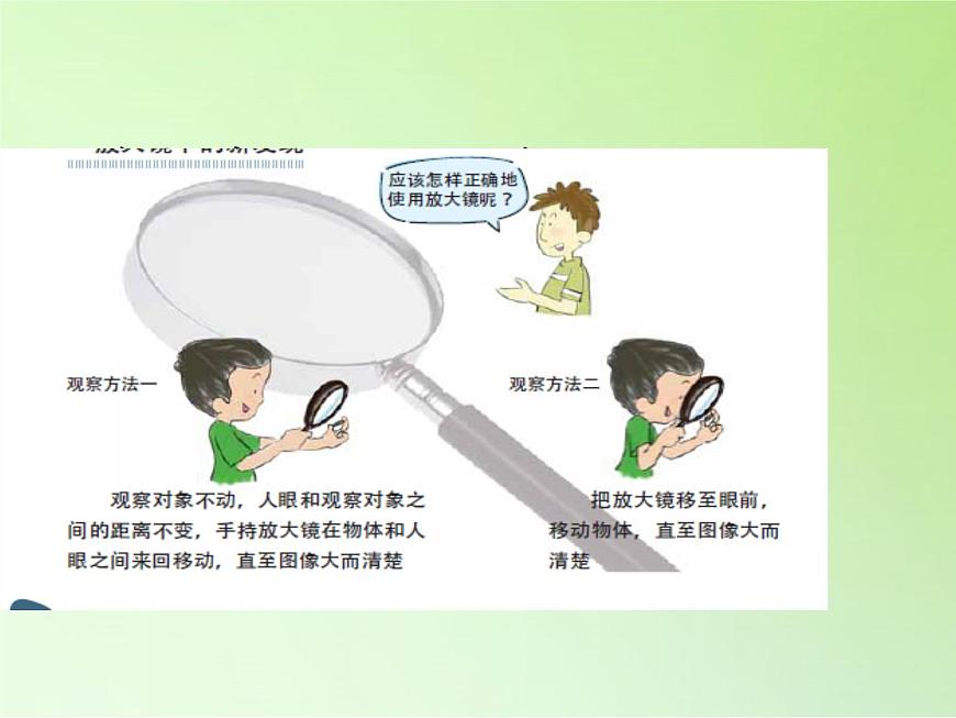 教科版科學(xué)六年級(jí)下冊(cè) 1.1 放大鏡 (2)（課件）第8頁(yè)