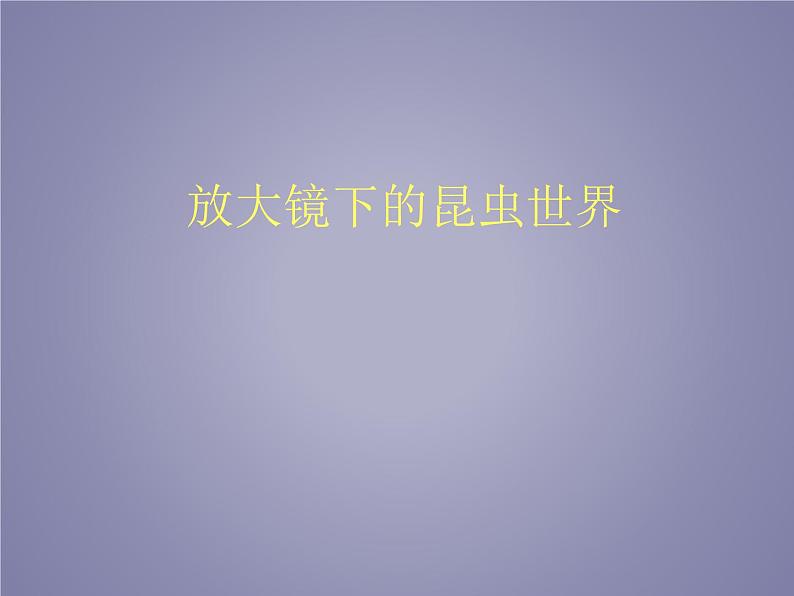 教科版科学六年级下册 1.2 放大镜下的昆虫世界_(3)(课件)第1页