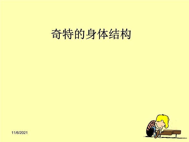 教科版科学六年级下册 1.2 《放大镜下的昆虫世界》(课件)第2页