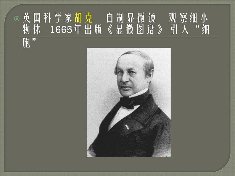 教科版科学六年级下册 1.4 《怎样放得更大》参考(课件)第7页