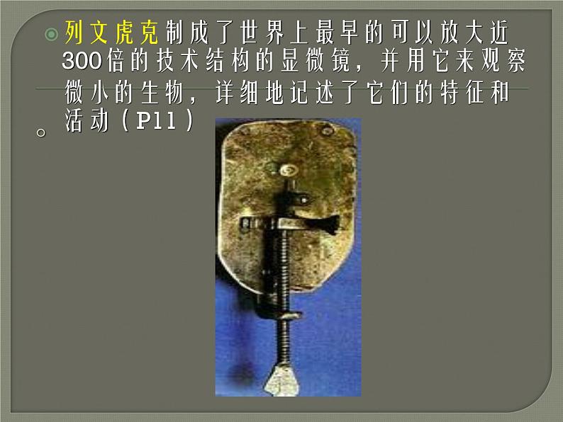 教科版科学六年级下册 1.4 《怎样放得更大》参考(课件)第8页