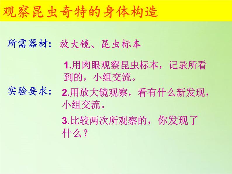 教科版科学六年级下册 1.2 放大镜下的昆虫世界(3)（课件）07