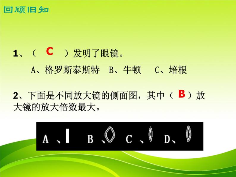 放大镜下的昆虫世界PPT课件免费下载04