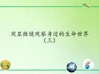 教科版科学六年级下册 1.7 用显微镜观察身边的生命世界（三）(1)（课件）