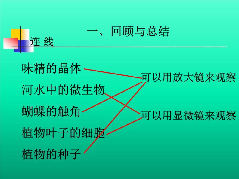 教科版科学六年级下册 1.8 微小世界和我们(2)（课件）03