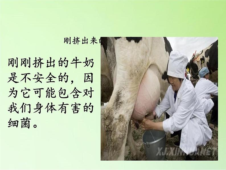 教科版科学六年级下册 1.8 微小世界和我们 (2)(课件)第2页