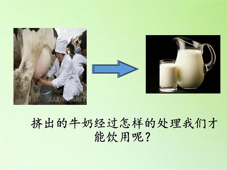教科版科学六年级下册 1.8 微小世界和我们 (2)(课件)第3页