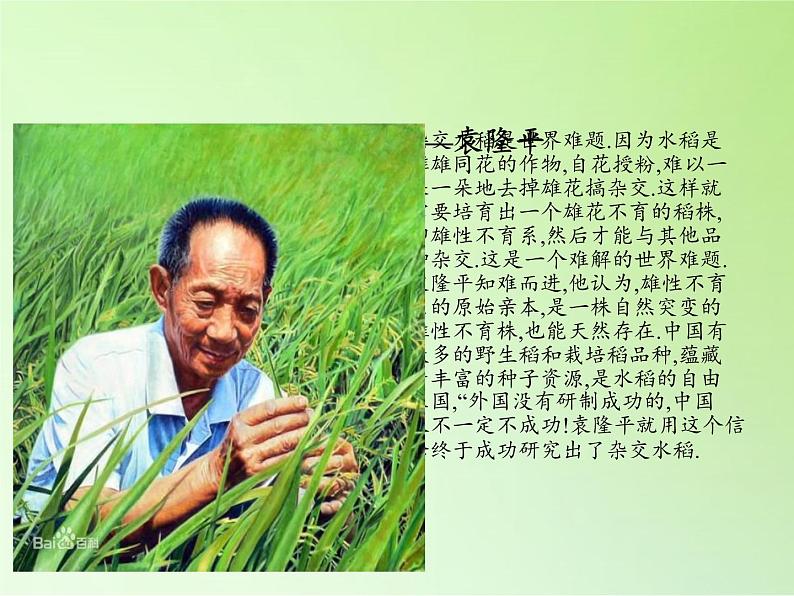 教科版科学六年级下册 1.8 微小世界和我们(9)(课件)02