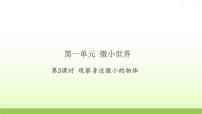 科学3.观察身边微小的物体习题课件ppt