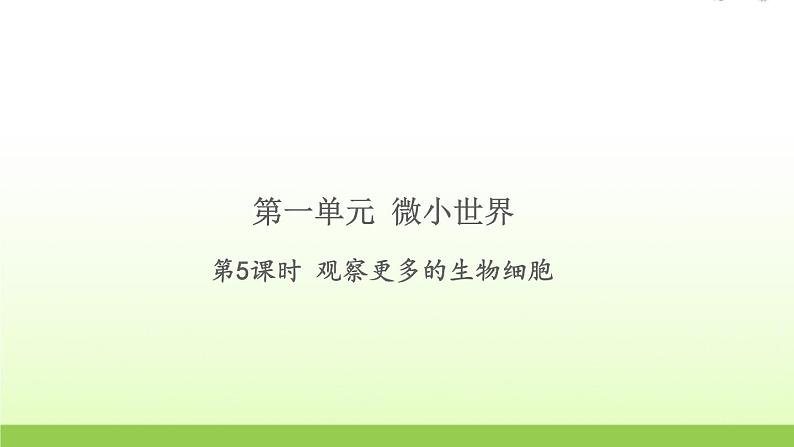 教科版 六年级科学上册第一单元微小世界5观察更多的生物细胞 习题课件01