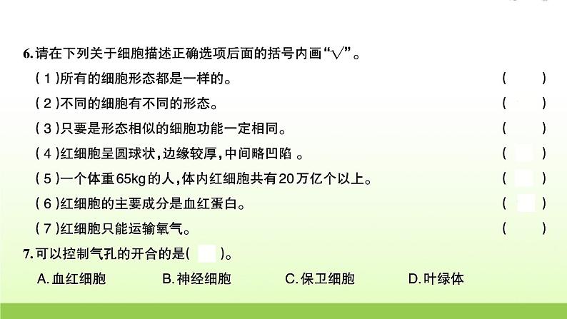 教科版 六年级科学上册第一单元微小世界5观察更多的生物细胞 习题课件03