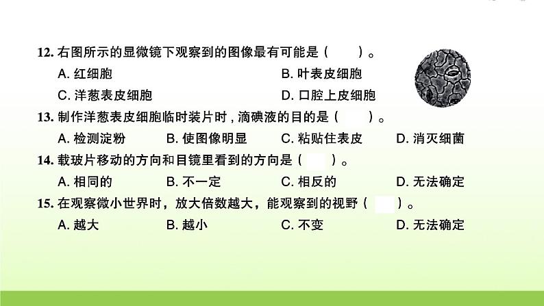 教科版 六年级科学上册第一单元微小世界检测卷 作业课件第6页