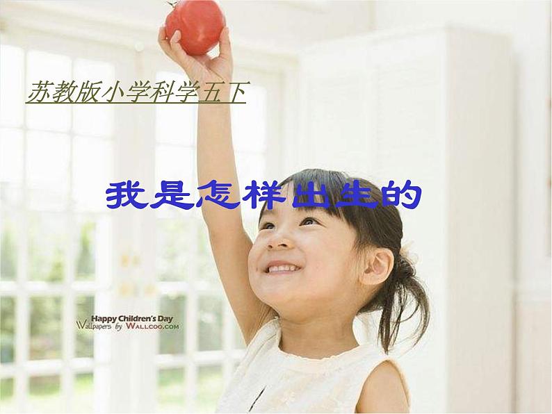 苏教小学科学五下《3.3.我是怎样出生的》PPT课件(3)第2页