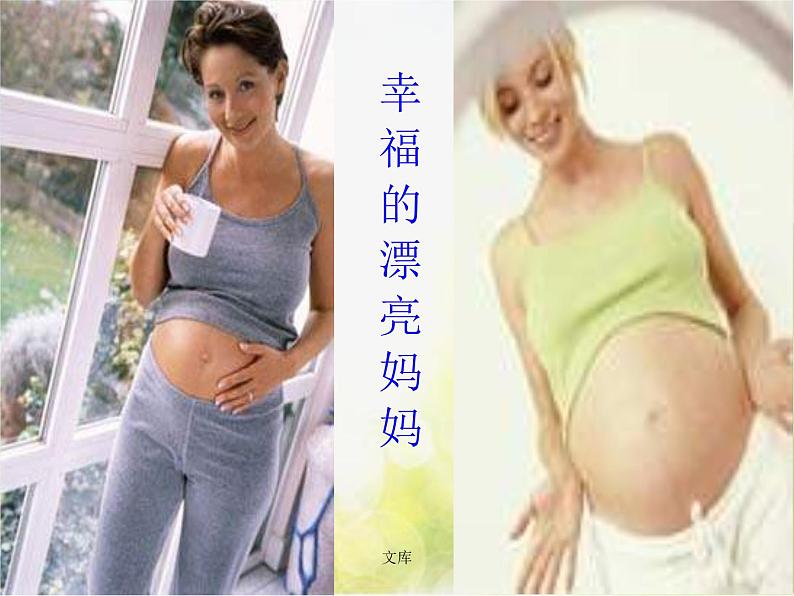 苏教小学科学五下《3.3.我是怎样出生的》PPT课件(3)第3页