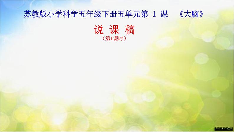 苏教小学科学五下《5.1.大脑》PPT课件(3)第2页