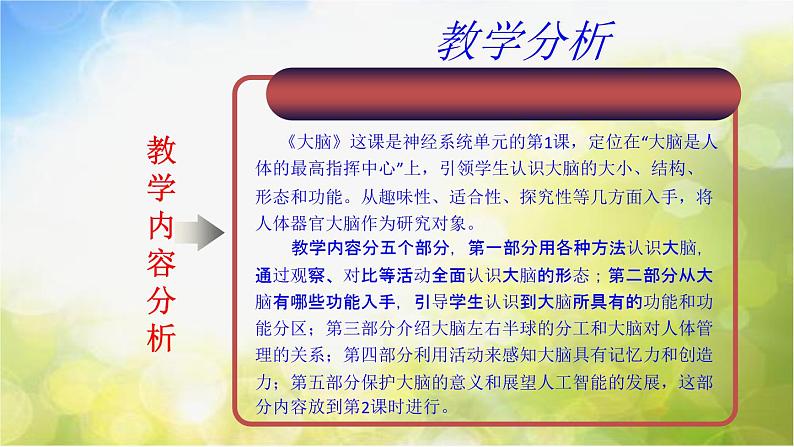 苏教小学科学五下《5.1.大脑》PPT课件(3)第4页