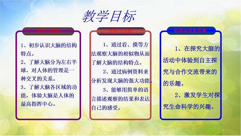 苏教小学科学五下《5.1.大脑》PPT课件(3)第7页