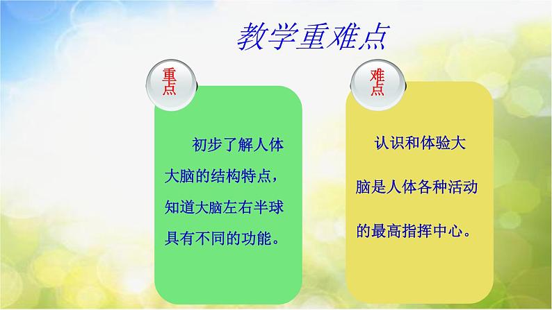 苏教小学科学五下《5.1.大脑》PPT课件(3)第8页
