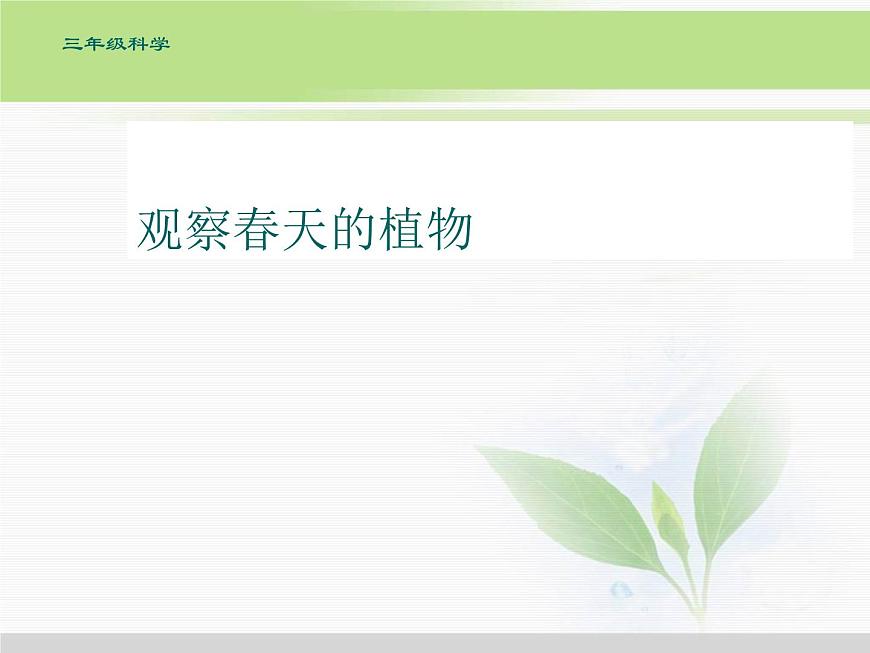 人教版小學(xué)科學(xué)三年級(jí)下冊(cè)1.1觀察春天的植物PPT課件第1頁