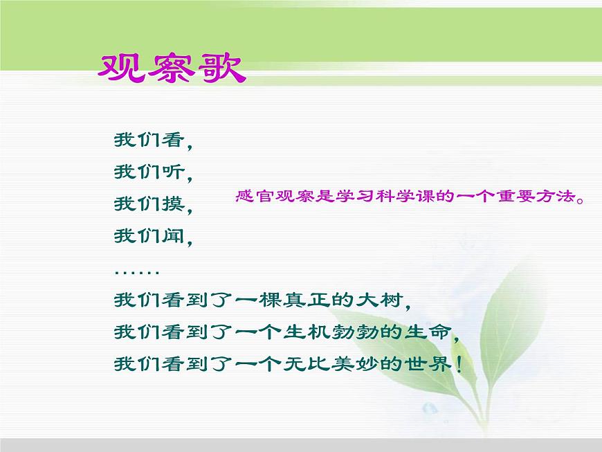 人教版小學(xué)科學(xué)三年級(jí)下冊(cè)1.1觀察春天的植物PPT課件第2頁