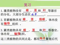 人教版小学科学三年级下册2.1植物的种子PPT课件