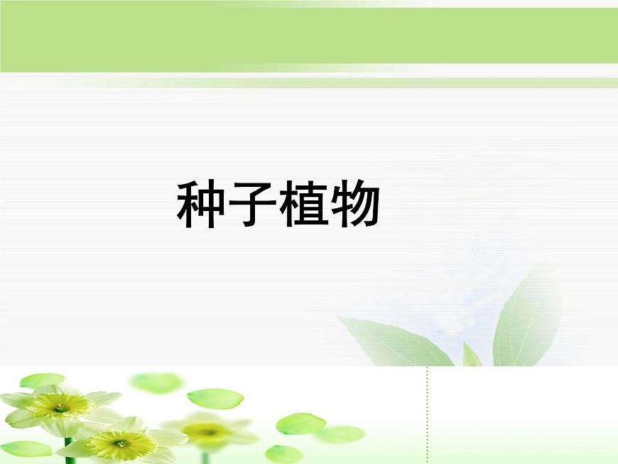 人教版小學(xué)科學(xué)三年級下冊2.1植物的種子PPT課件第2頁