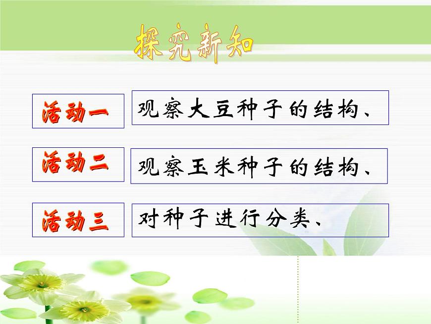 人教版小學(xué)科學(xué)三年級下冊2.1植物的種子PPT課件第3頁