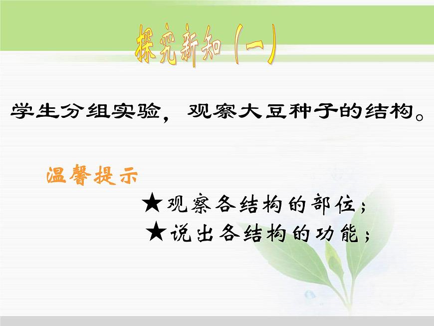 人教版小學(xué)科學(xué)三年級下冊2.1植物的種子PPT課件第4頁