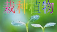 小学科学人教版 (新课标)三年级下册2 栽种植物集体备课课件ppt