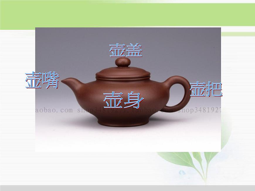 人教版小學(xué)科學(xué)三年級(jí)下冊(cè)2.3植物的身體PPT課件第8頁(yè)