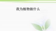 小学科学人教版 (新课标)三年级下册四 植物和我们4 我为植物做什么教案配套课件ppt