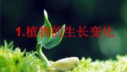 小学科学人教版 (新课标)五年级下册1 植物的生长变化评课课件ppt