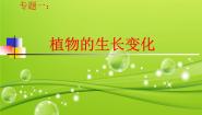 人教版 (新课标)五年级下册1 植物的生长变化教课课件ppt