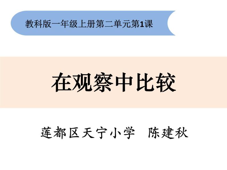 2020小学一年级上册科学课件-2.1在观察中比较5教科版(13张)ppt课件02