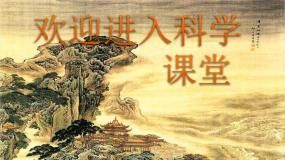 大象版六年级下册1.3 探寻人类祖先的奥秘教学ppt课件