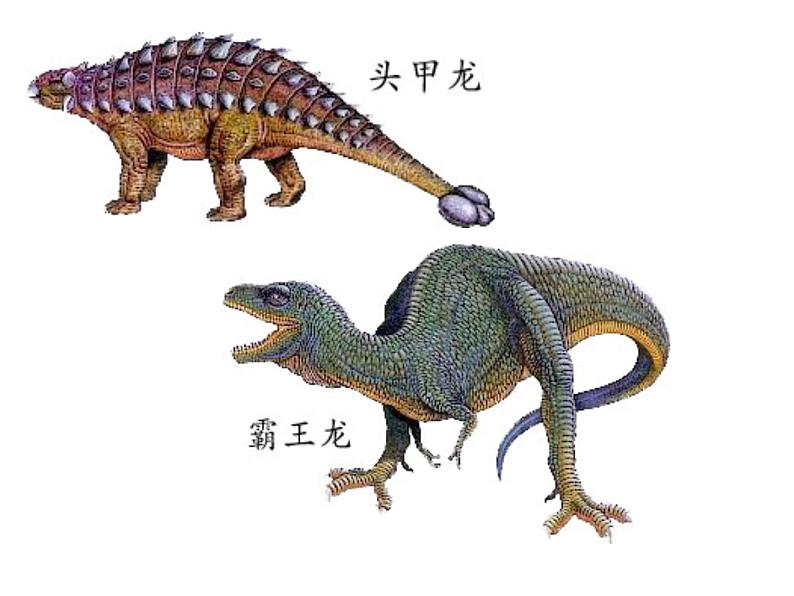 小学六年级下册科学-3.1消失了的恐龙-苏教版(19张)ppt课件第3页