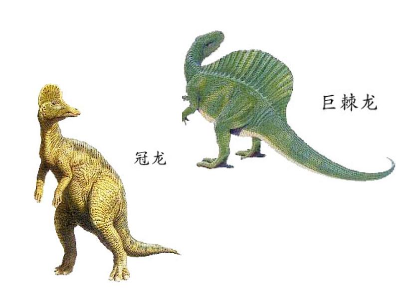 小学六年级下册科学-3.1消失了的恐龙-苏教版(19张)ppt课件第4页