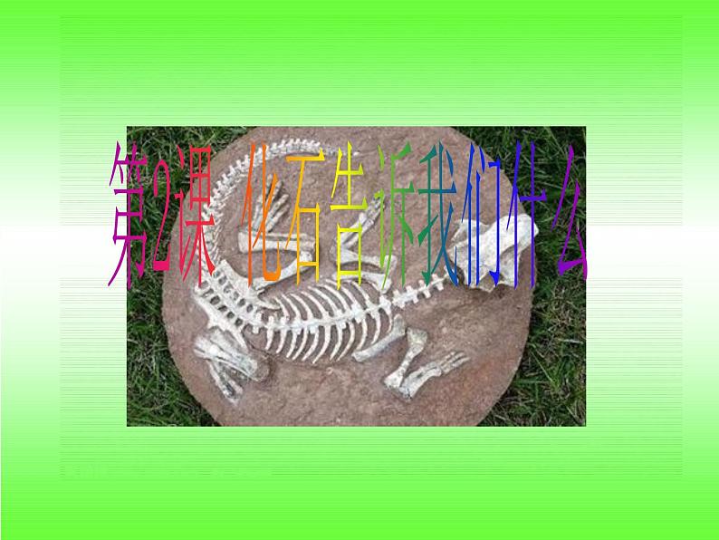 小学六年级下册科学-3.2化石告诉我们什么-苏教版(25张)ppt课件第2页