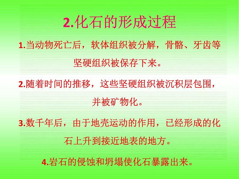 小学六年级下册科学-3.2化石告诉我们什么-苏教版(25张)ppt课件第6页